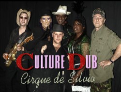 Click here to watch the Culture Dub video (feat. Phil Pickett)